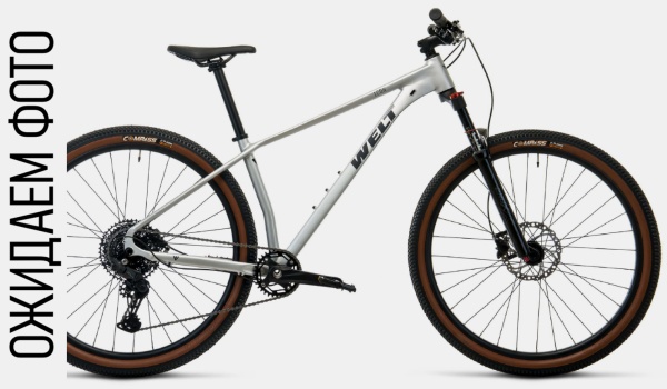 Велосипед Welt Icon 3.0 29 (2026)