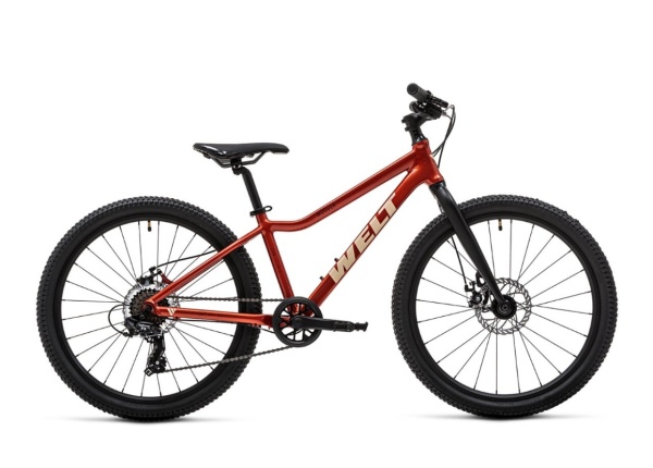 Велосипед Welt Moovix 1.0 D 24