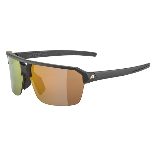 Очки солнцезащитные Alpina Swift HR Black-Gold Matt/Gold Mirror Cat.3