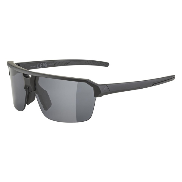 Очки солнцезащитные Alpina Swift HR Black Matt/Smoke Black Cat.3