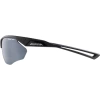 Очки солнцезащитные Alpina Nylos Hr Black Matt