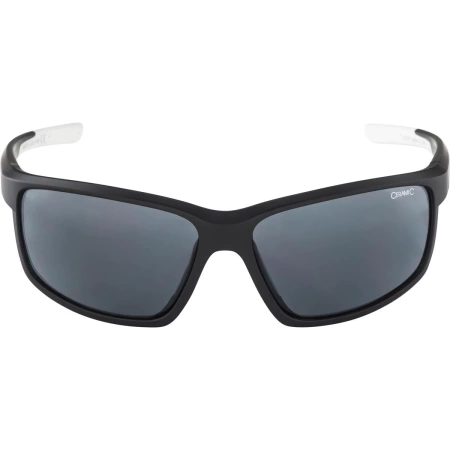 Очки солнцезащитные Alpina Defey Black/White Matt 