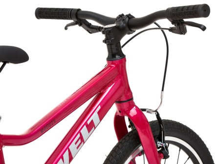 Велосипед Welt Moovix 1.1 V 20