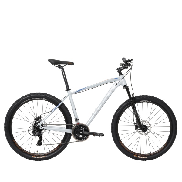 Велосипед Welt Raven 1.0 HD 29 (2024)
