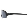 Очки солнцезащитные Alpina Rocket Youth Black Matt
