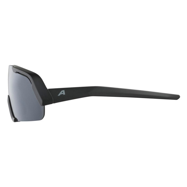 Очки солнцезащитные Alpina Rocket Youth Black Matt
