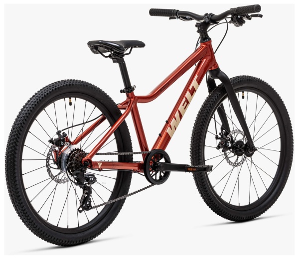 Велосипед Welt Moovix 1.0 D 24