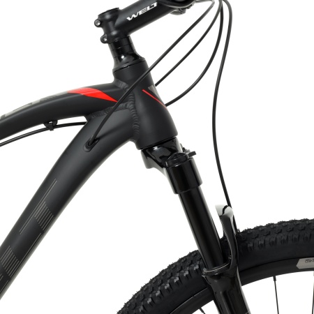 Велосипед Welt Raven 2.0 HD 29 (2023)