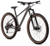 Велосипед Welt Rambler 1.0 (2026)