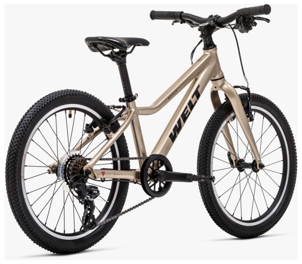 Велосипед Welt Moovix 2.1 V 20 Велосипед Welt Moovix 2.1 V 20