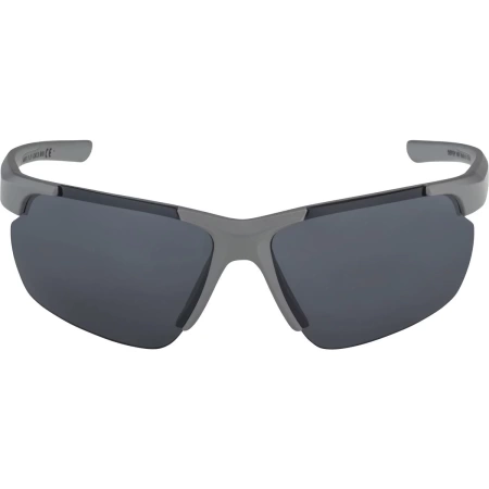 Очки солнцезащитные Alpina Defey Hr Moon/Grey Matt