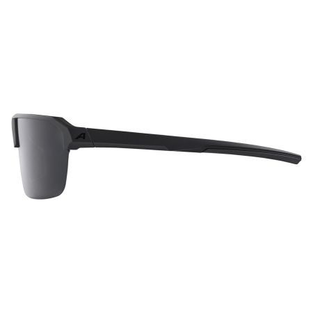 Очки солнцезащитные Alpina Swift HR Black Matt/Smoke Black Cat.3