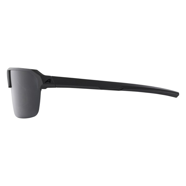 Очки солнцезащитные Alpina Swift HR Black Matt/Smoke Black Cat.3
