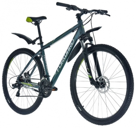 Велосипед Forward Apache 2.0 29 disc (2017)