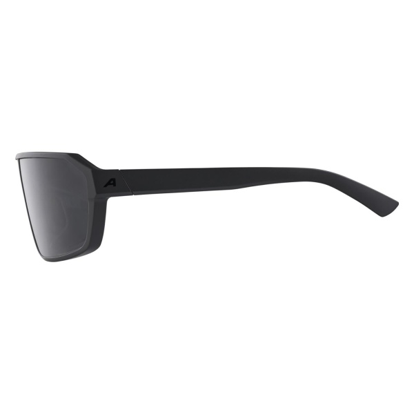 Очки солнцезащитные Alpina Swift Black Matt/Smoke Black Cat.3