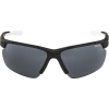 Очки солнцезащитные Alpina Defey Hr Black/White Matt 