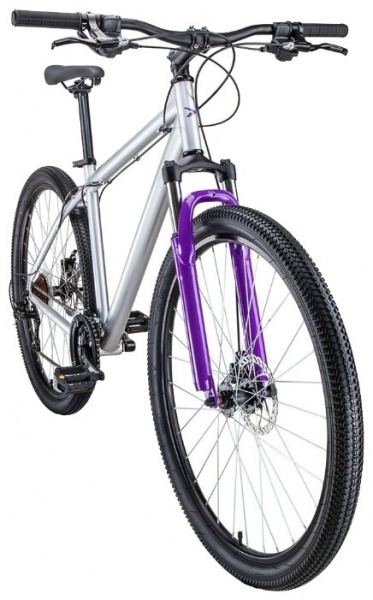 Велосипед Forward Sporting 29 2.0 disc (2019)