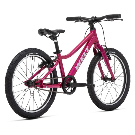 Велосипед Welt Moovix 1.0 V 20 (2026)