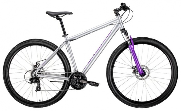 Велосипед Forward Sporting 29 2.0 disc (2019)
