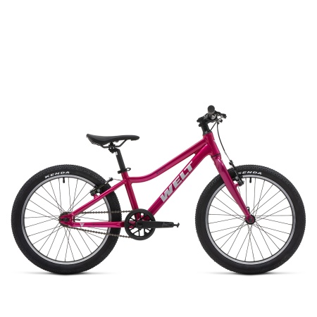 Велосипед Welt Moovix 1.0 V 20 (2026)