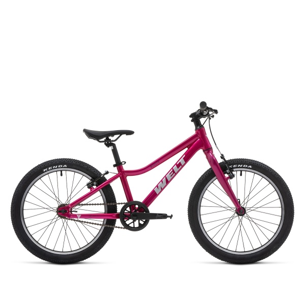 Велосипед Welt Moovix 1.0 V 20 (2026)