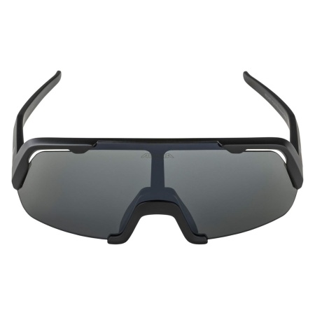 Очки солнцезащитные Alpina Rocket Youth Black Matt