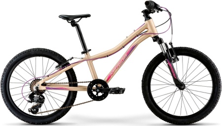 Велосипед Merida Matts J20 Eco MattLightSand/Berry (2023)