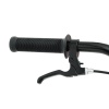Велосипед Welt BMX Freedom 1.0 (2024/)
