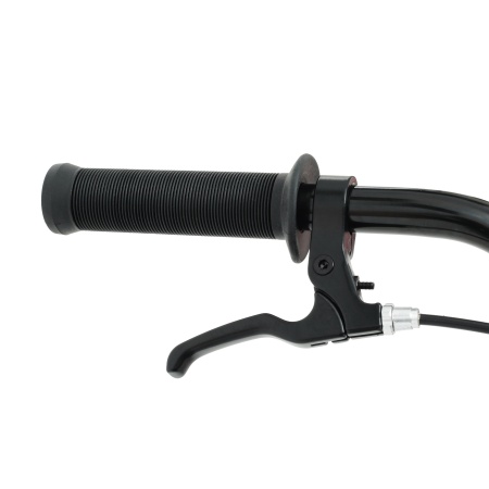 Велосипед Welt BMX Freedom 1.0 (2024/)