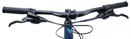 Велосипед Welt Edelweiss 1.0 HD 26 (2021)