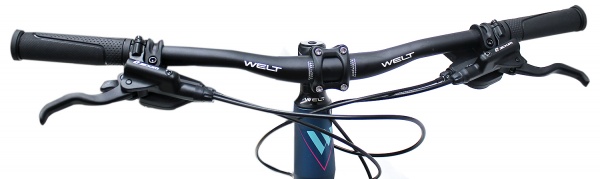 Велосипед Welt Edelweiss 1.0 HD 26 (2021)