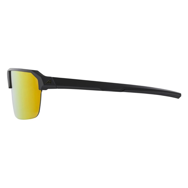 Очки солнцезащитные Alpina Swift HR Black-Gold Matt/Gold Mirror Cat.3