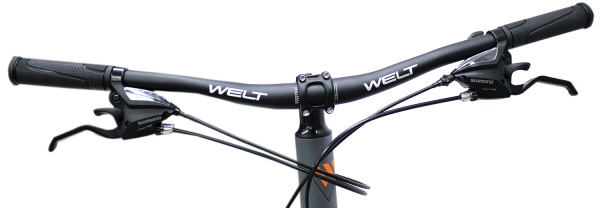 Велосипед Welt Ridge 1.0 D 29 (2021) 