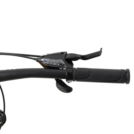 Велосипед Welt Raven 1.0 D 29 (2024)