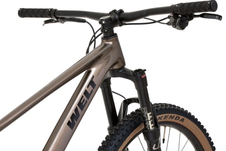 Велосипед Welt Rambler 1.1 29