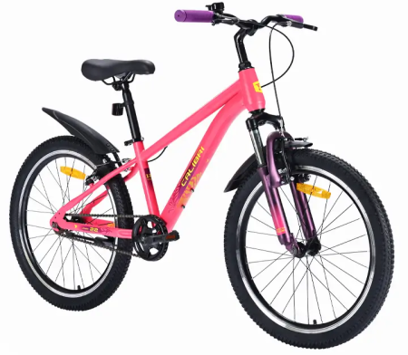 Велосипед TechTeam Calibri 24