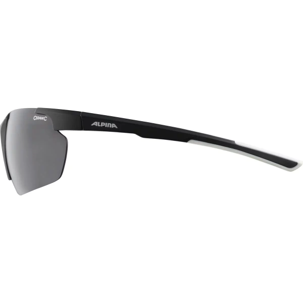 Очки солнцезащитные Alpina Defey Hr Black/White Matt 