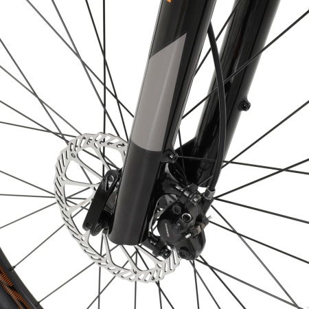 Велосипед Welt Raven 1.0 HD 29 (2024)