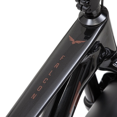 Велосипед Welt Falcon