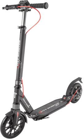 Самокат TechTeam City Scooter Disk Brake black