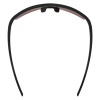 Очки солнцезащитные Alpina Eagle Q-Lite Black Matt/Red Mirror Cat.3