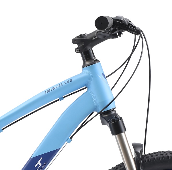 Велосипед Welt Edelweiss 1.0 D 26 (2021)