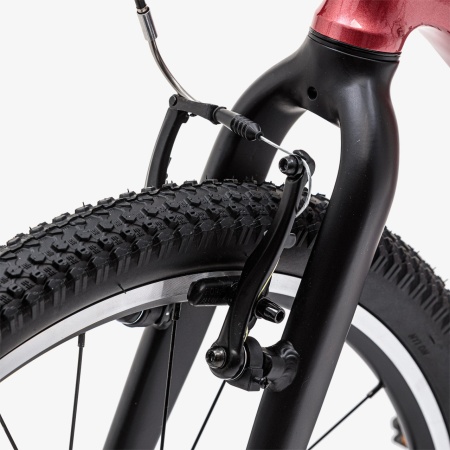 Велосипед Welt Moovix 1.0 V 24 (2026)