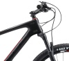 Велосипед Welt Rubicon Carbon Race 29 (2021)