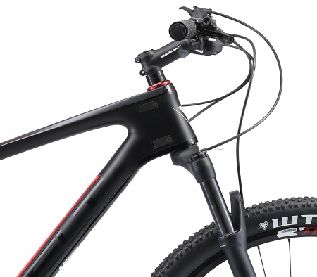 Велосипед Welt Rubicon Carbon Race 29 (2021)