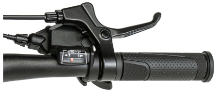 Велосипед Welt Brave 1.0 V 20