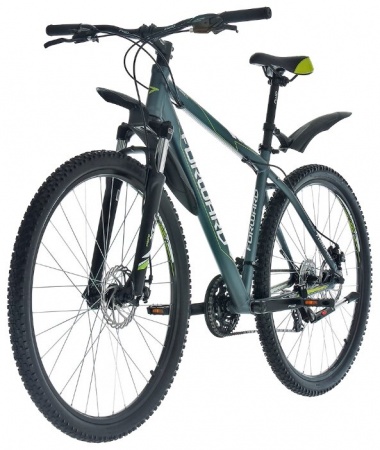 Велосипед Forward Apache 2.0 29 disc (2017)