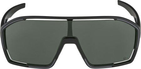 Очки солнцезащитные Alpina Bonfire Q-Lite Black Matt
