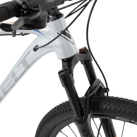 Велосипед Welt Raven 1.0 HD 29 (2024)