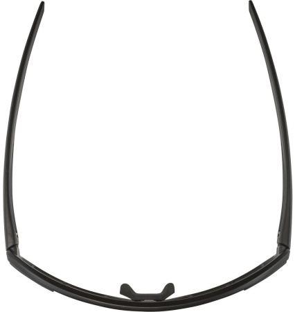 Очки солнцезащитные Alpina Bonfire Q-Lite Black Matt